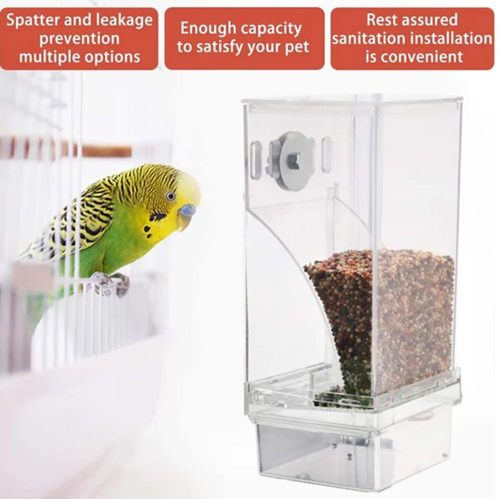 SmartServe Bird Feeder