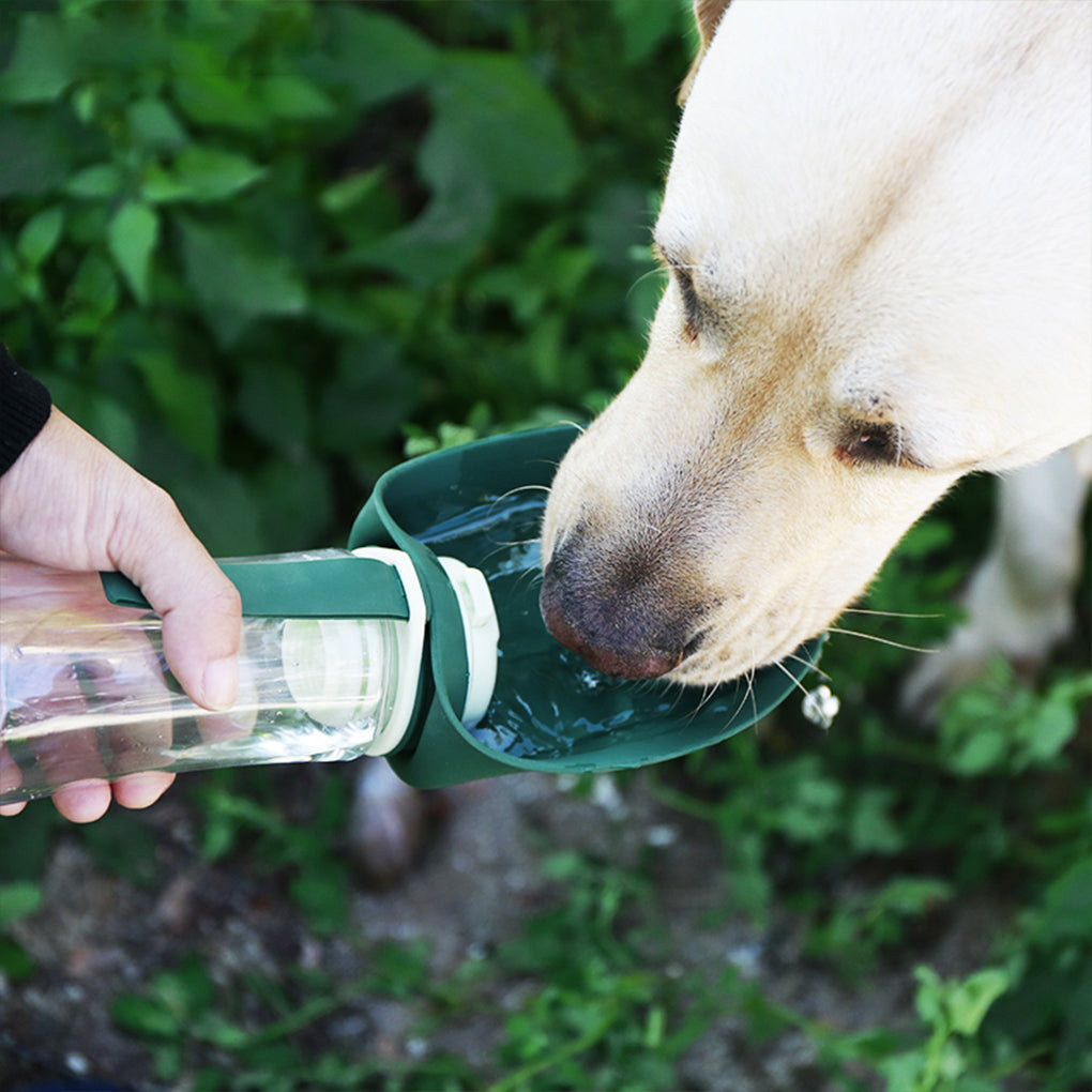 🐕 2-in-1 Pet Dog Water Bottle - Hydration and Nutrition Anytime, Anywhere for your Pet